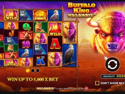 Buffalo King